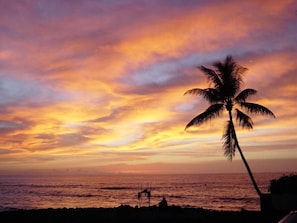 A sunset over the ocean with a palm tree silhouetted against the sky. - Kona Seaspray (Kailua-Kona)