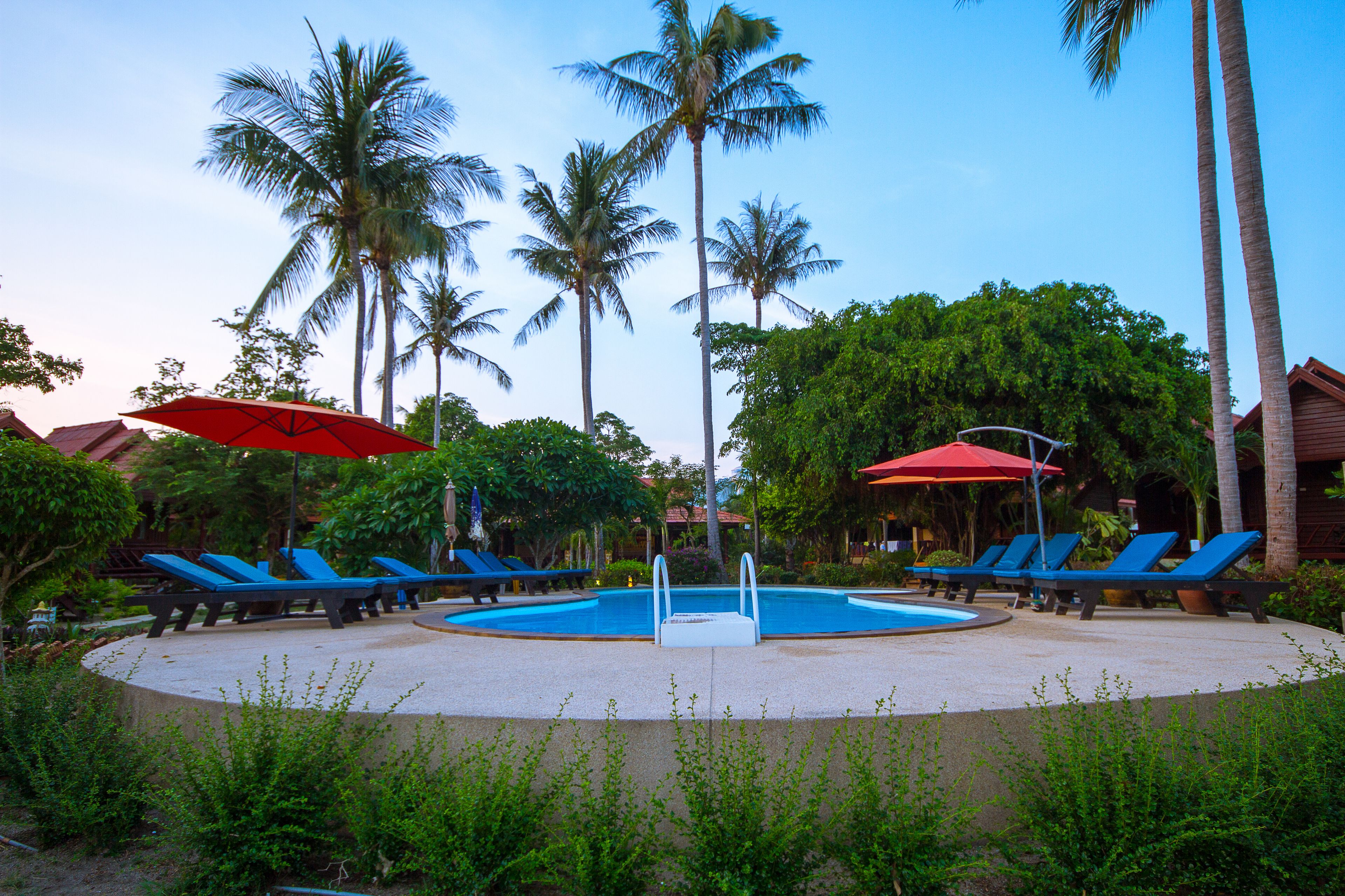 A pool area with blue lounge chairs and red umbrellas, surrounded by palm trees and greenery.