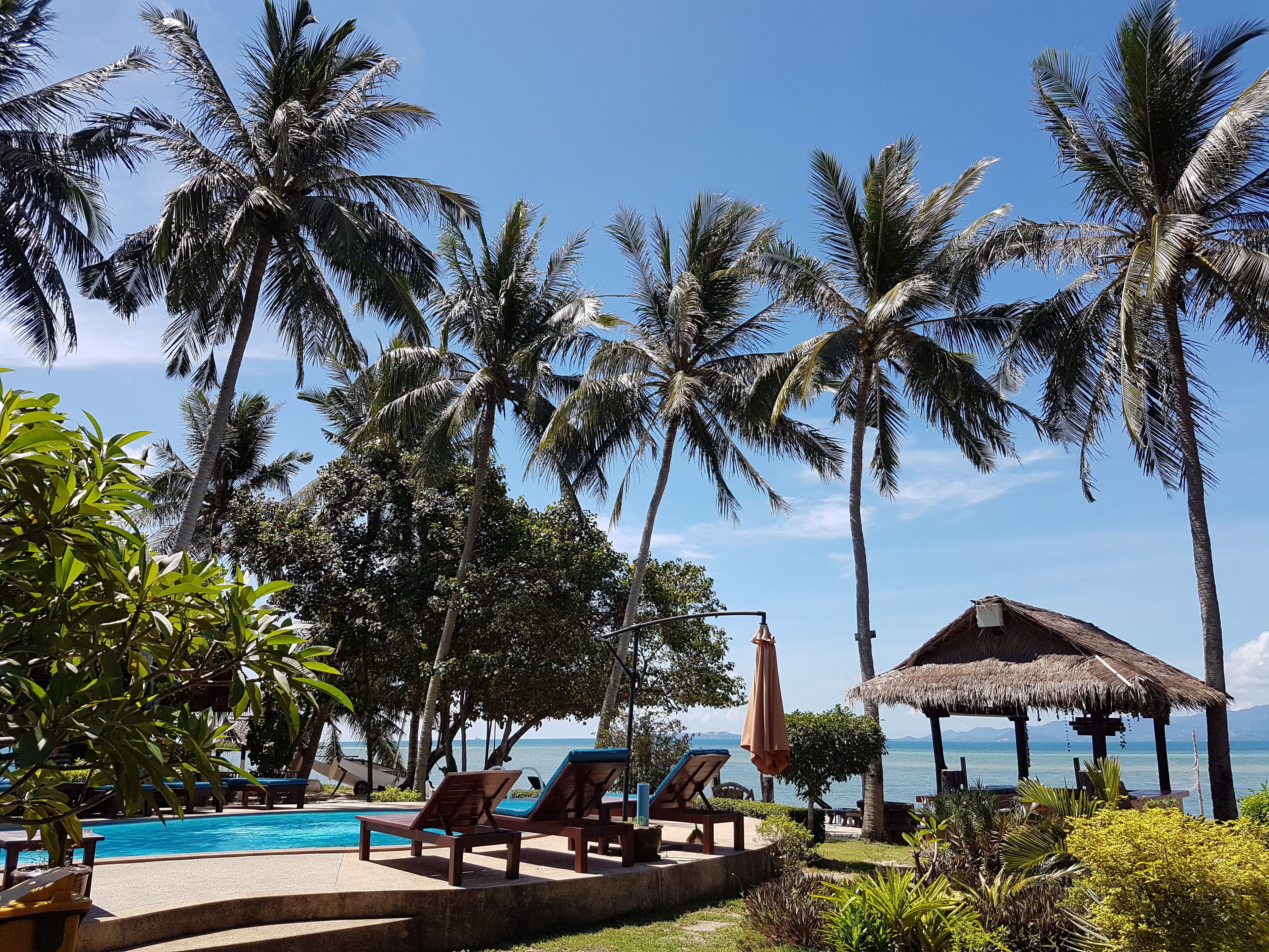 Pool View Bungalow | View from room