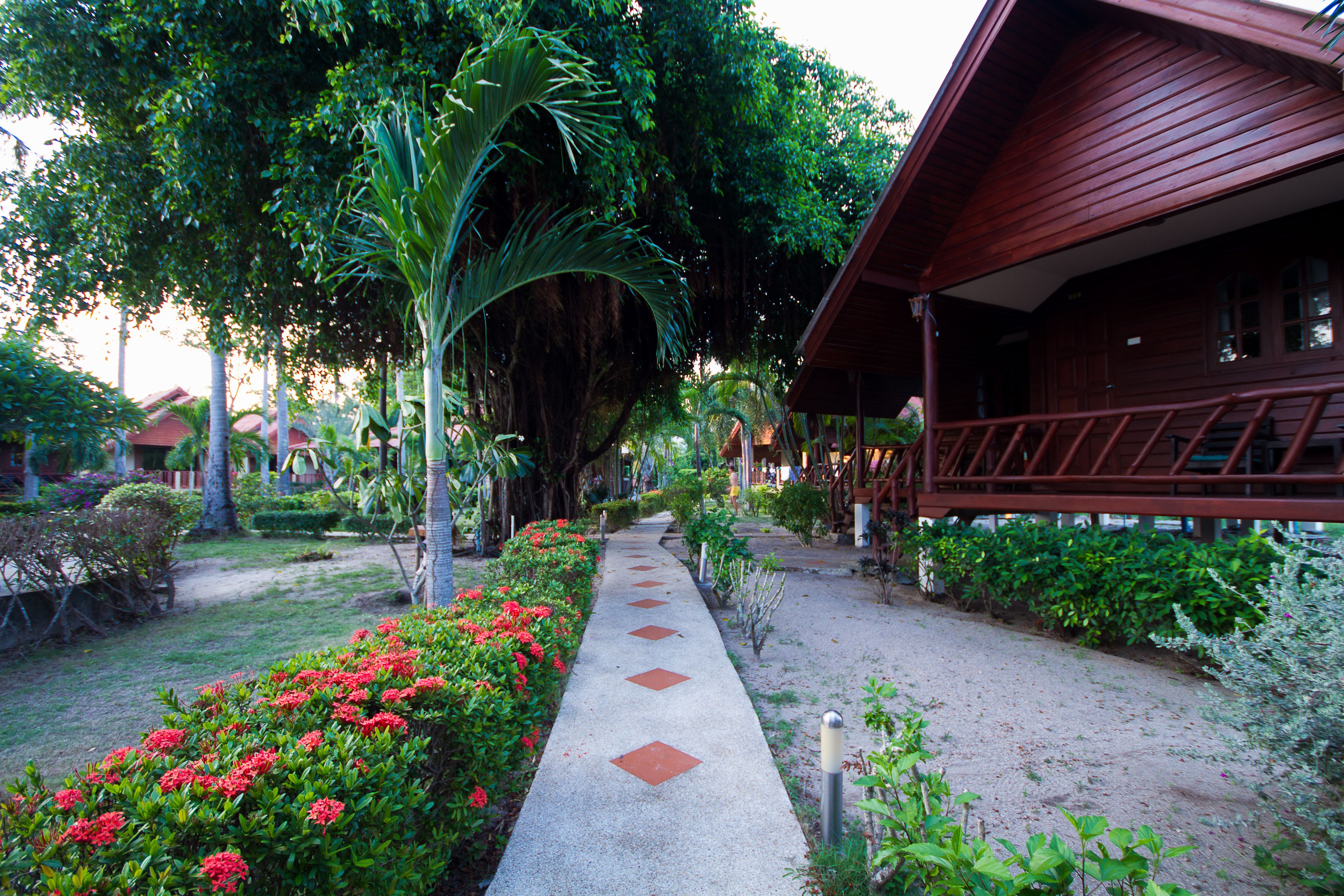 A pathway lined with red flowers and a wooden building with a porch.