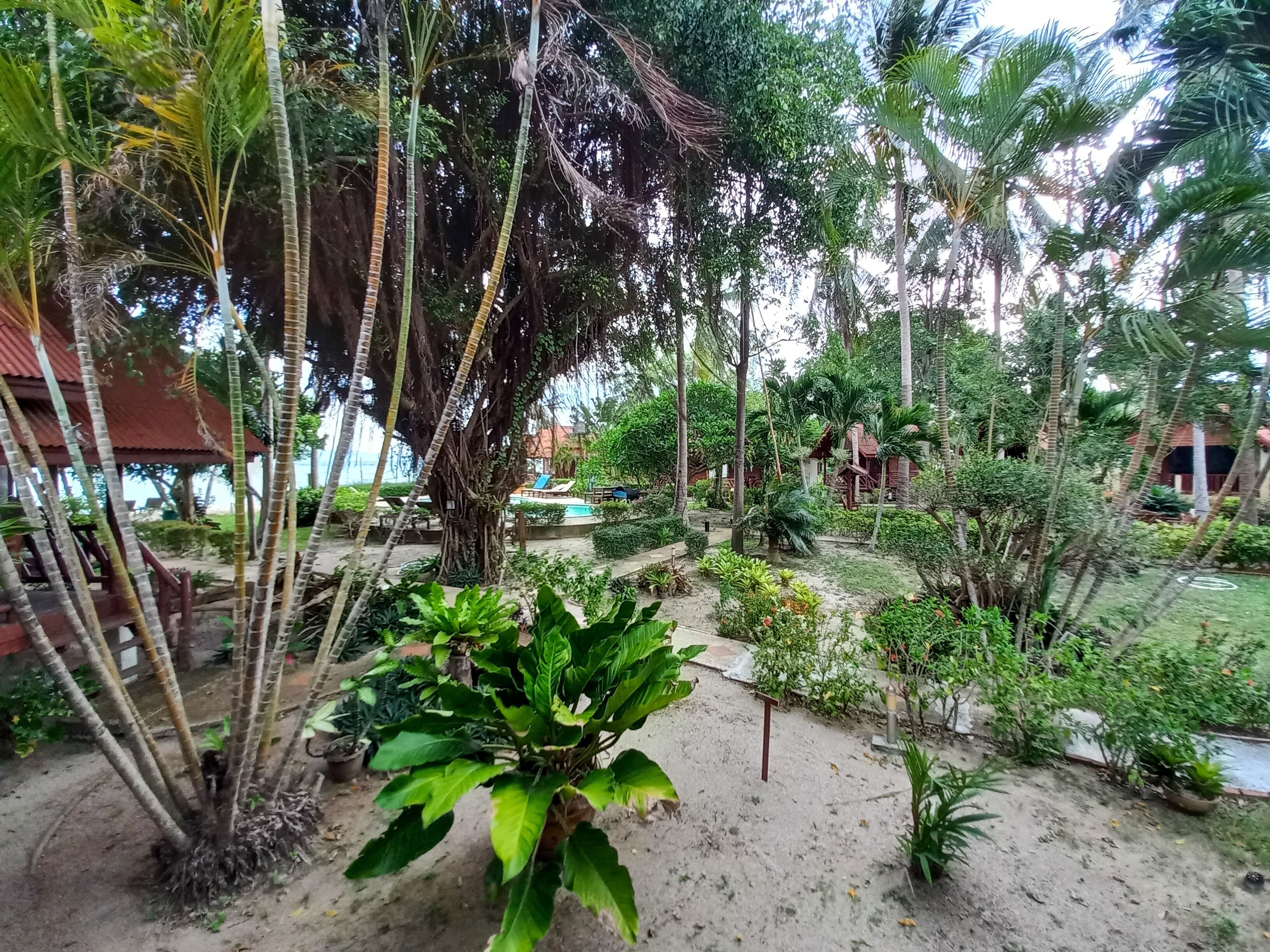 superior garden view | 1 bedroom, minibar, in-room safe