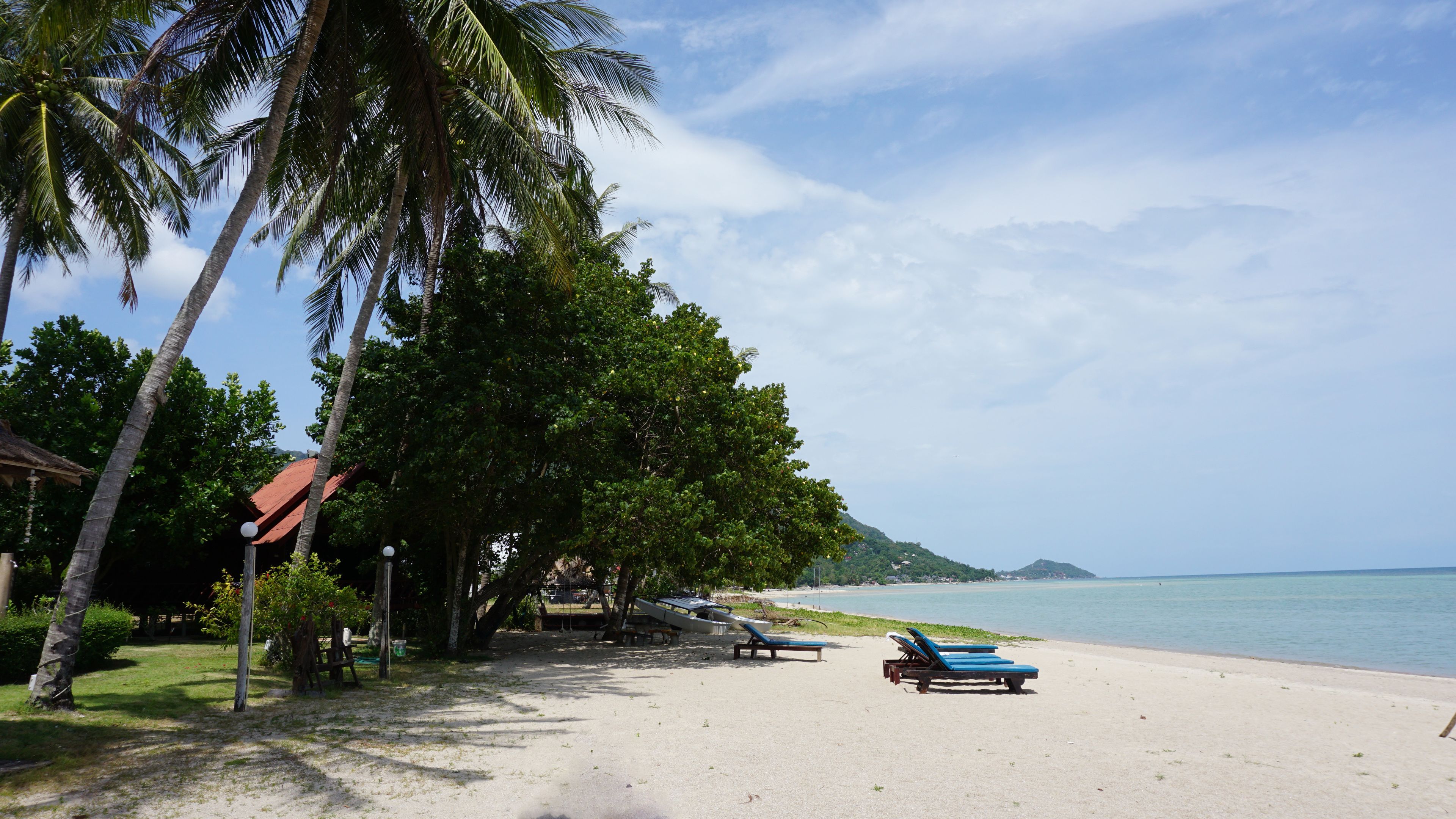 A beach with palm trees, a thatched-roof hut, and lounge chairs.