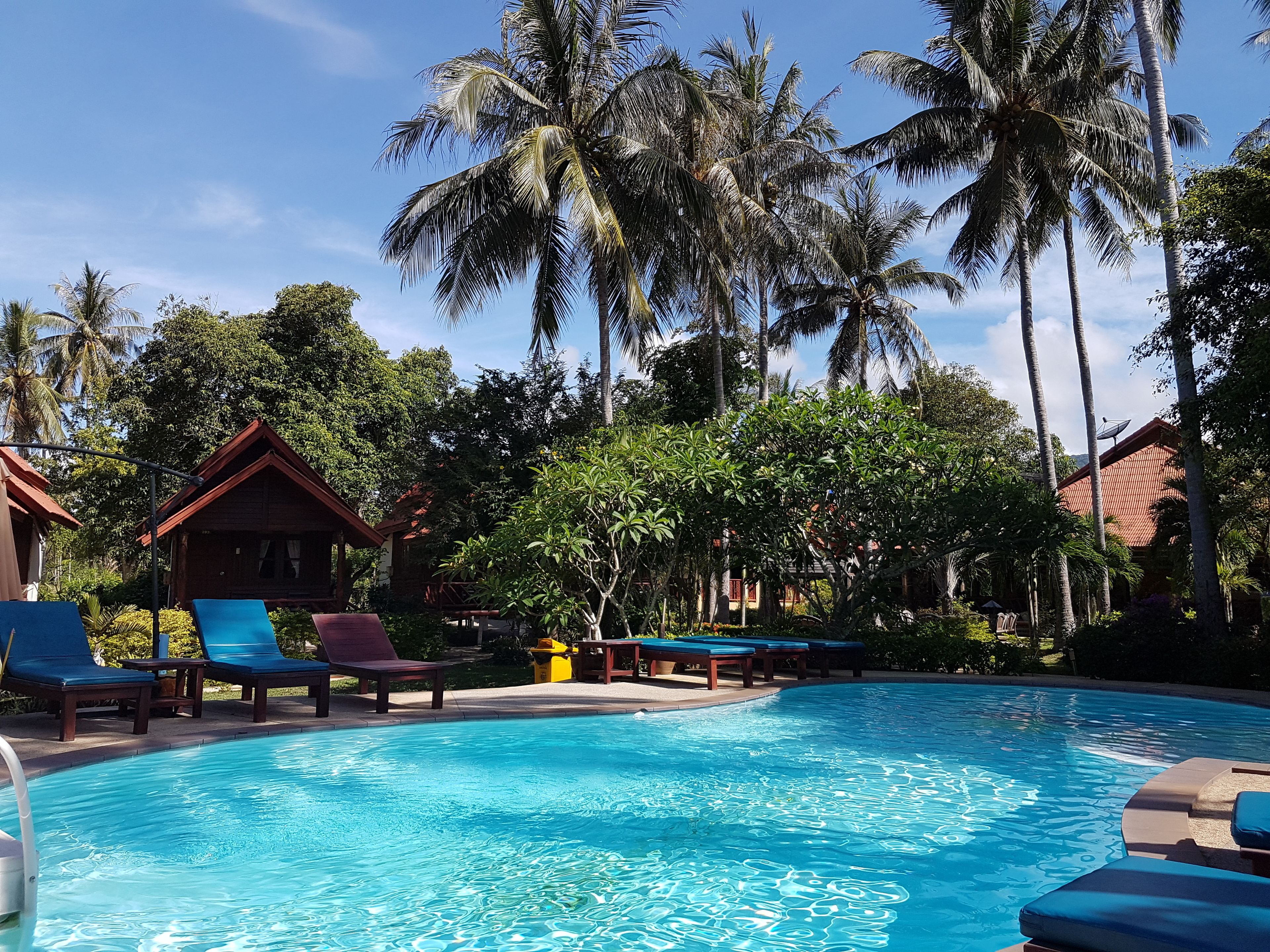 outdoor pool, pool umbrellas, pool loungers