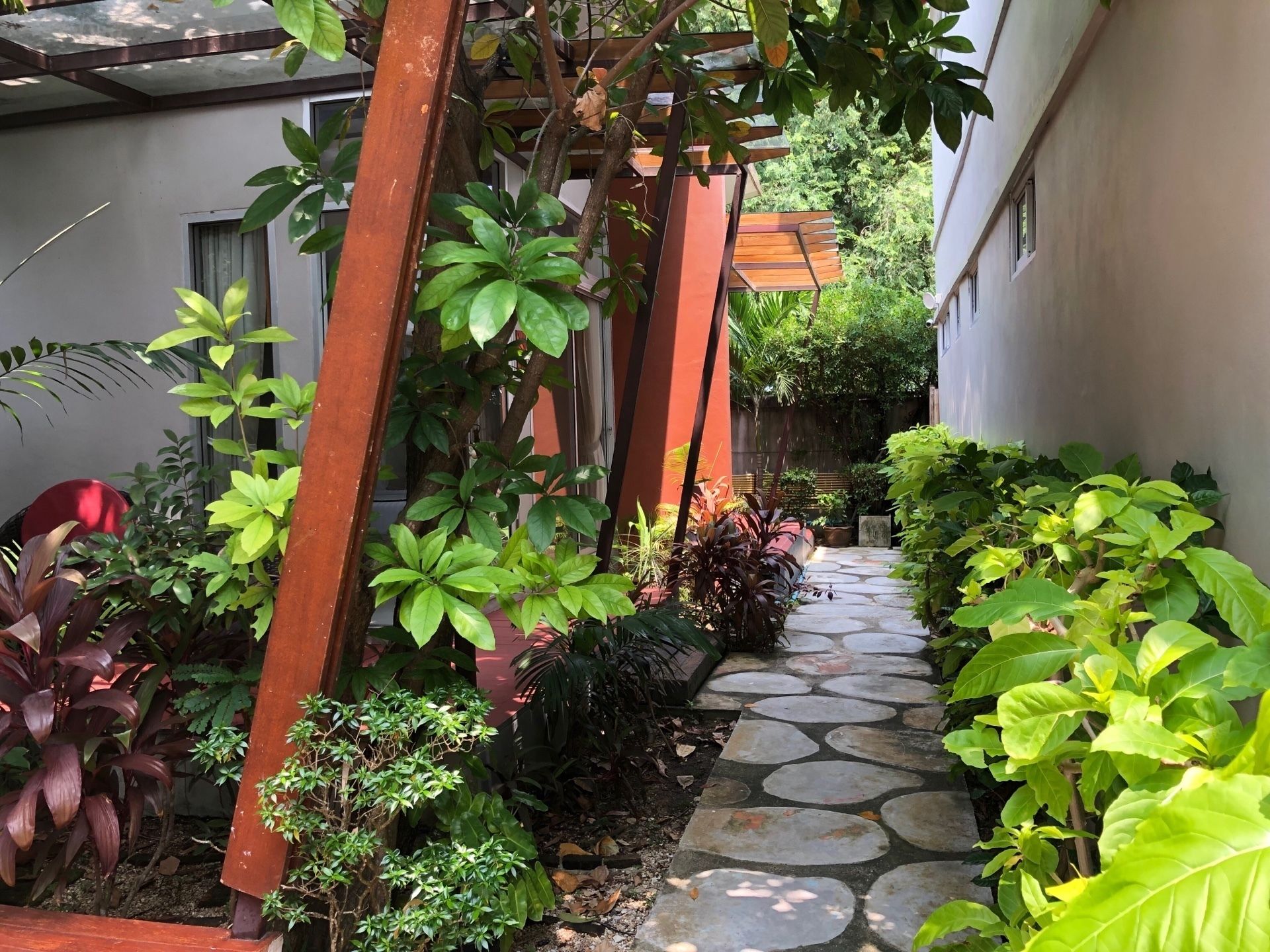 deluxe room | garden view