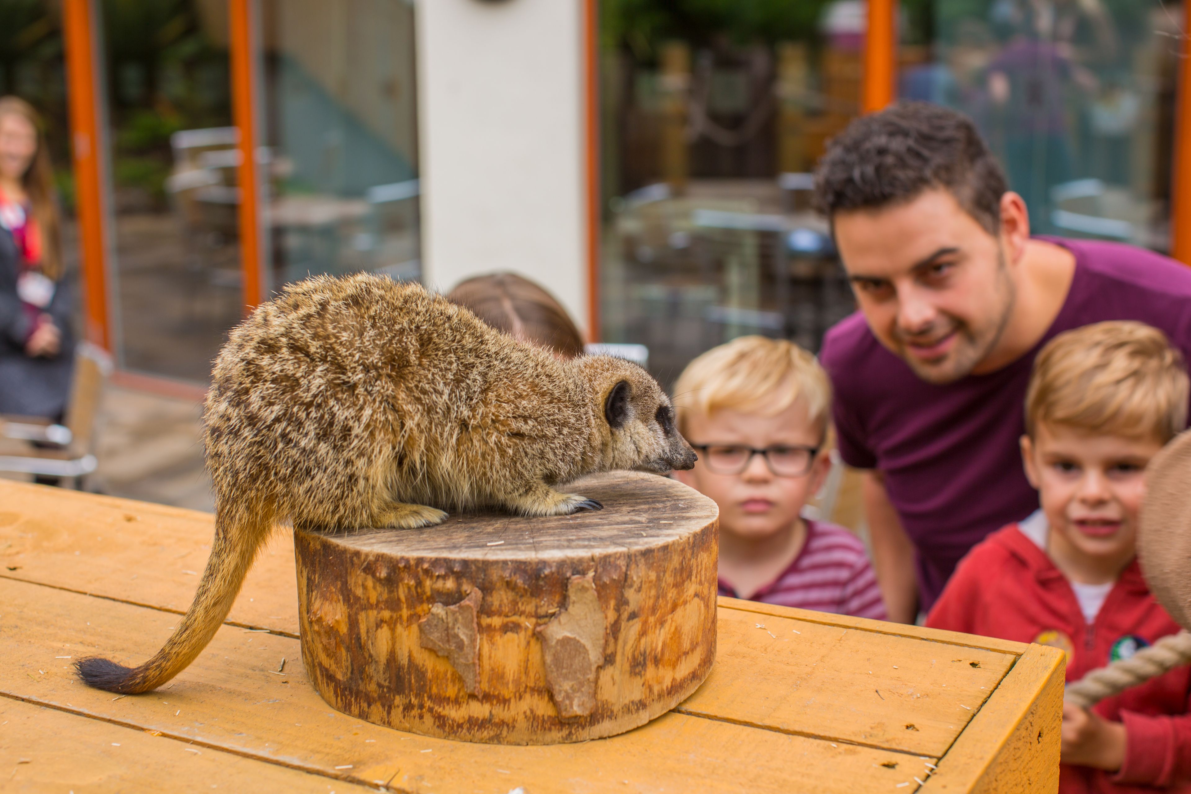 children’s activities