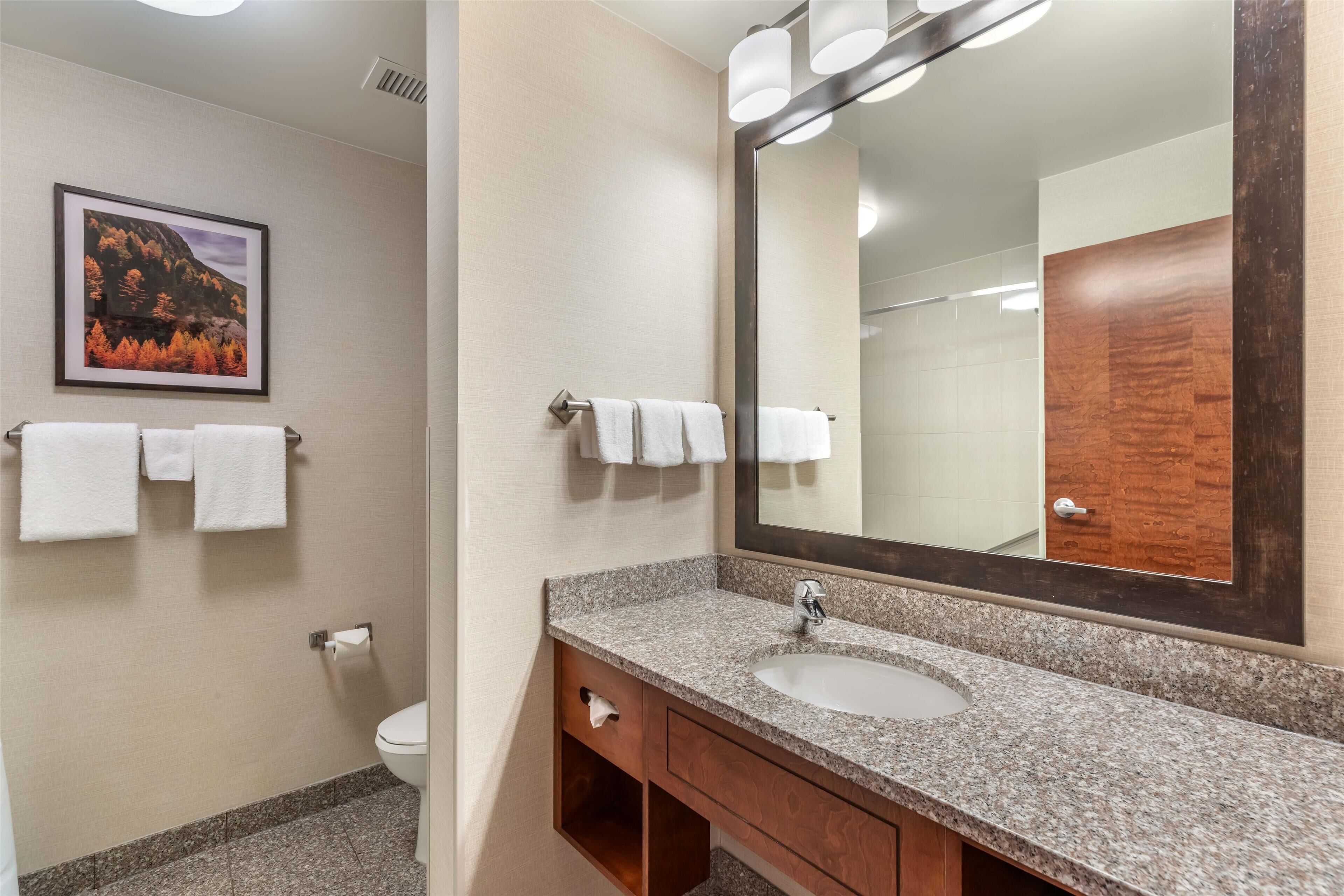 combined shower/bathtub, free toiletries, hair dryer, towels