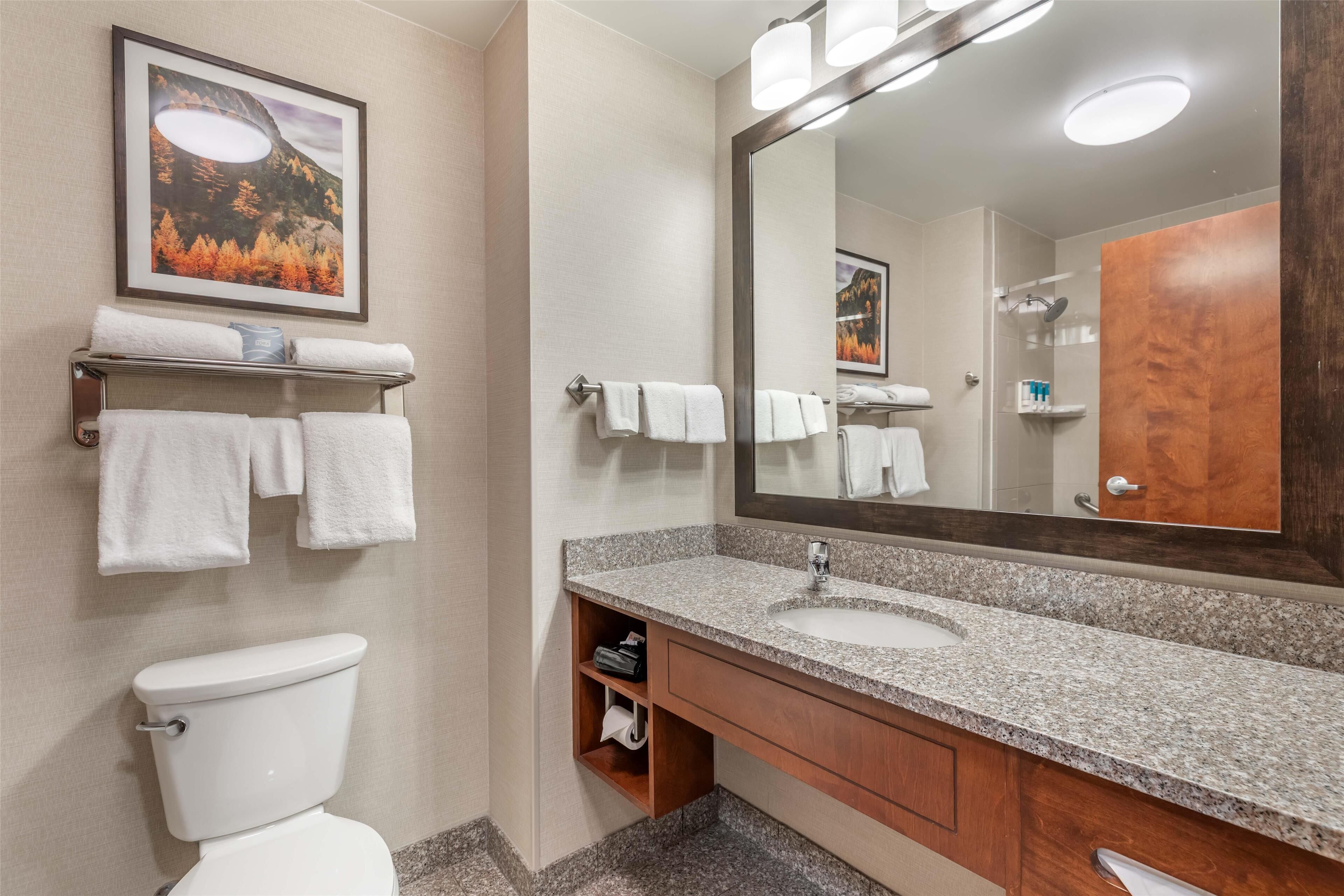 combined shower/bathtub, free toiletries, hair dryer, towels