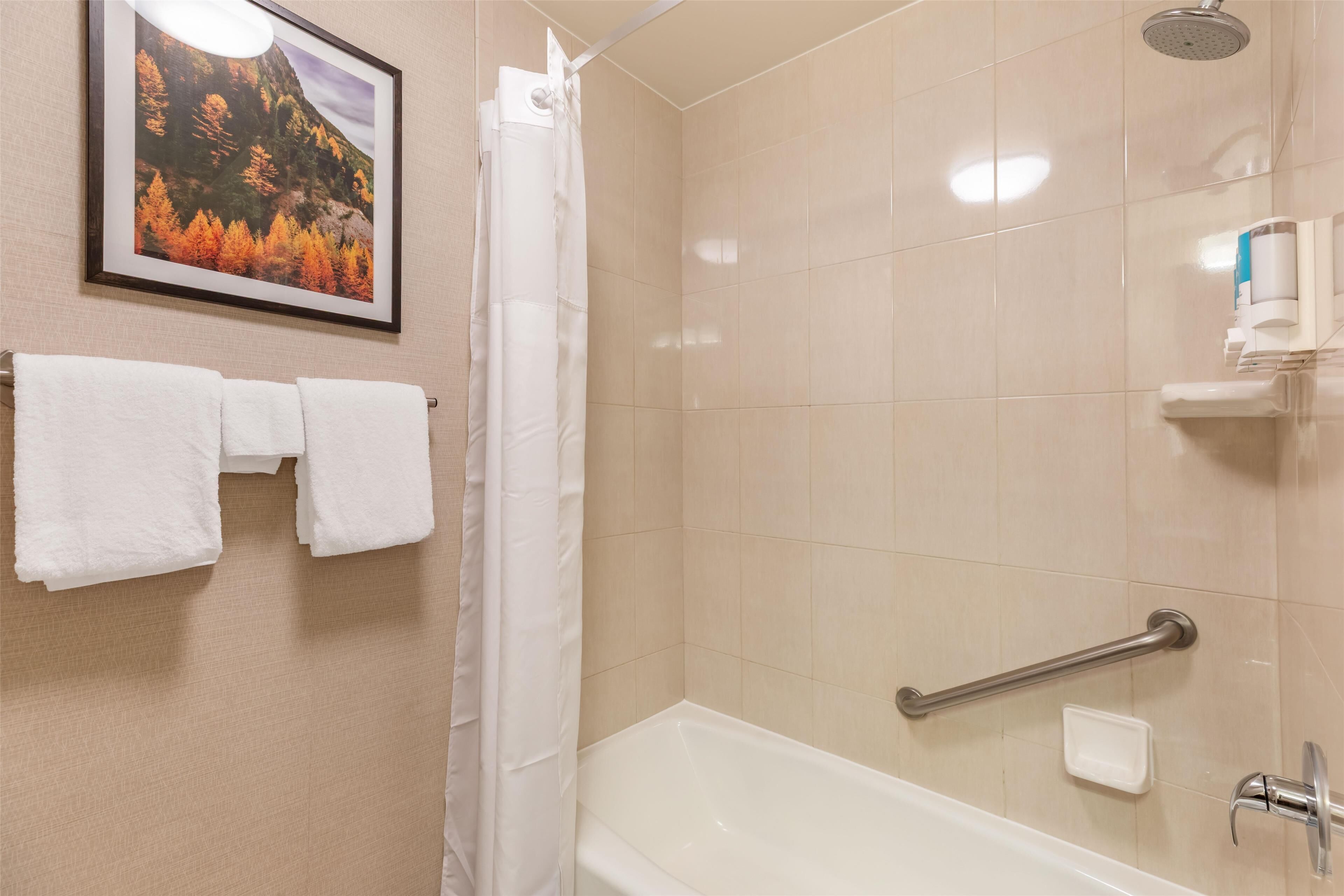 A bathroom with a bathtub, a shower, a handrail, and a framed picture on the wall.