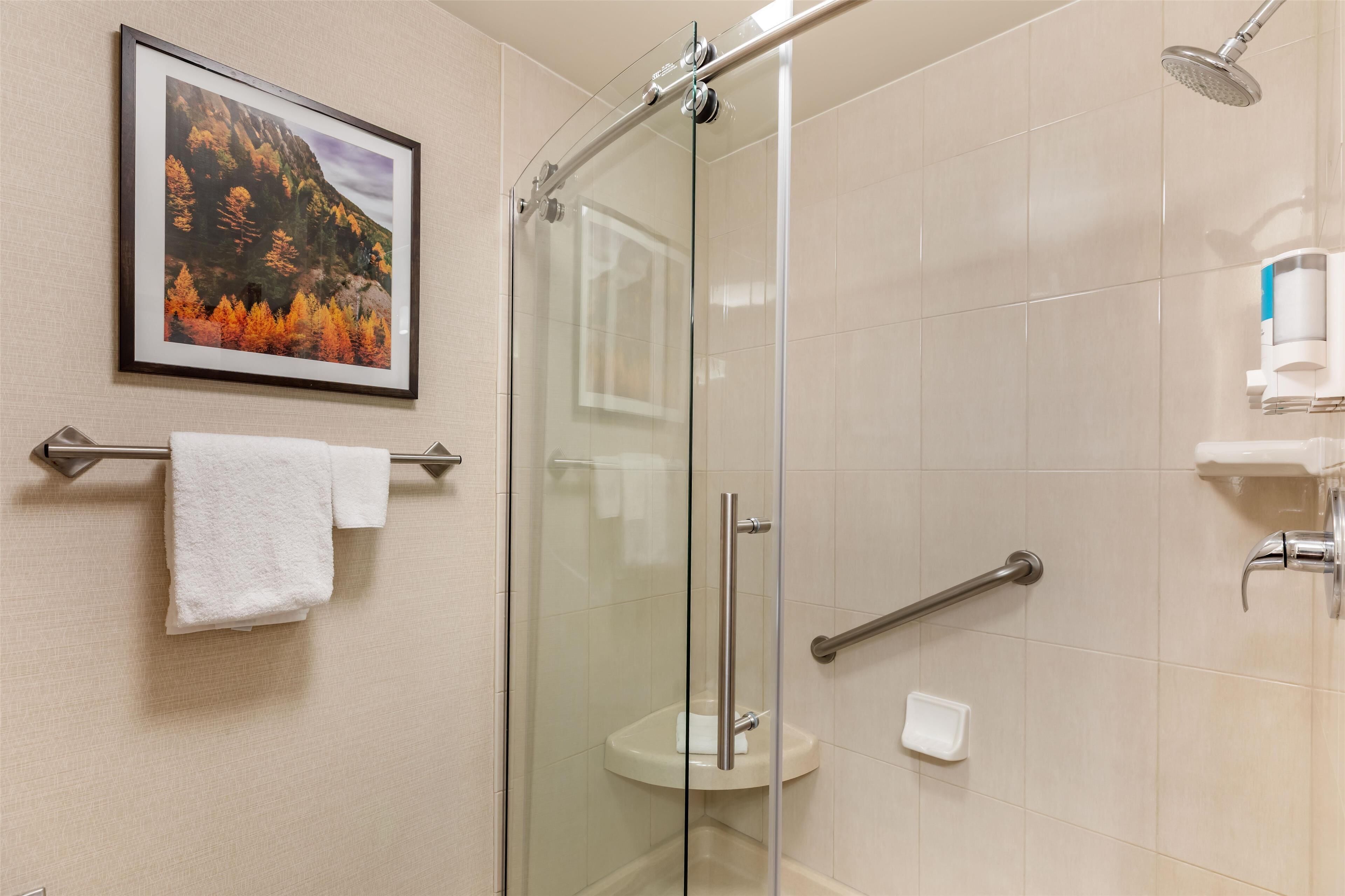 A glass-enclosed shower with a handrail, a white sink, and a framed picture of a forest on the wall.