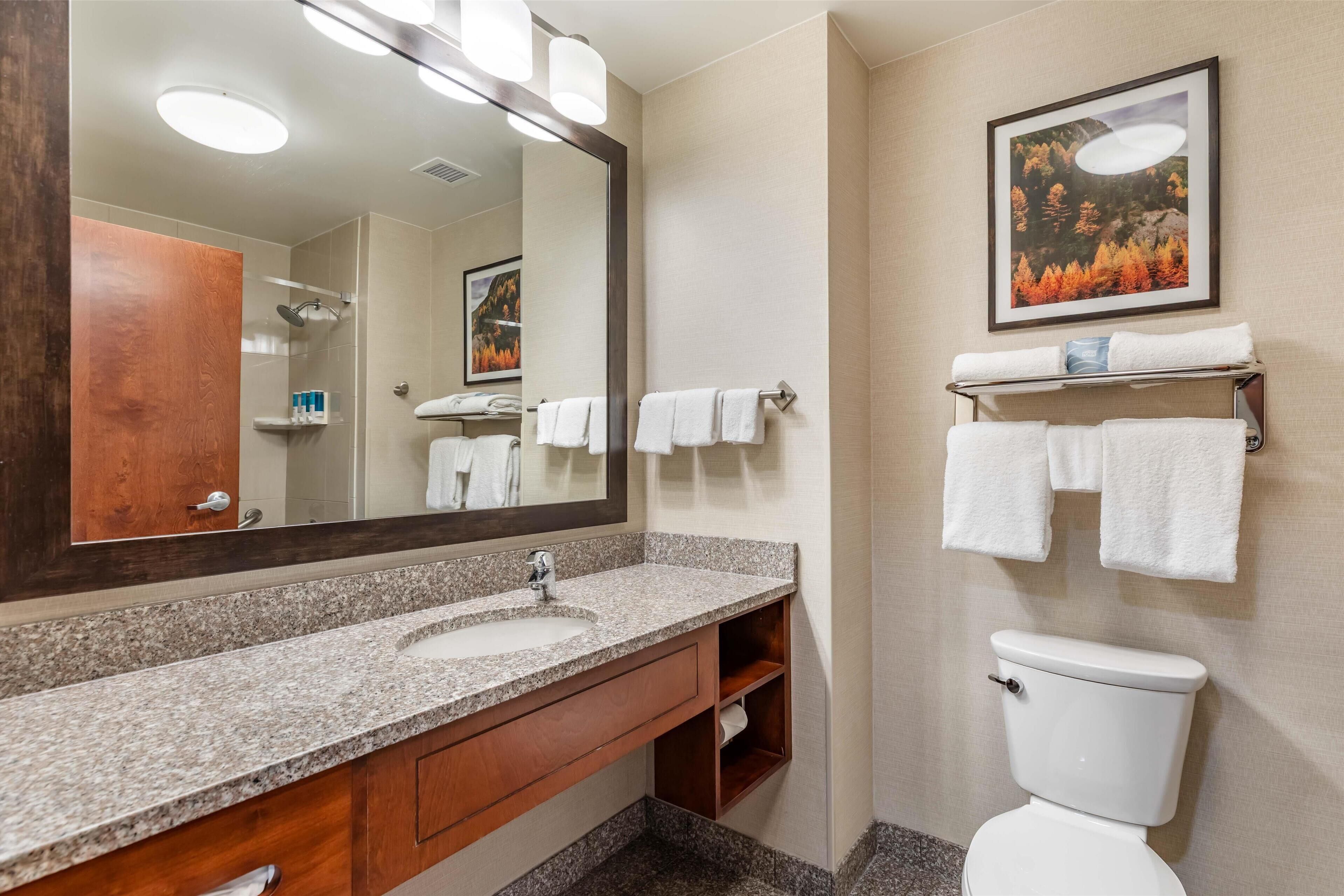 combined shower/bathtub, free toiletries, hair dryer, towels