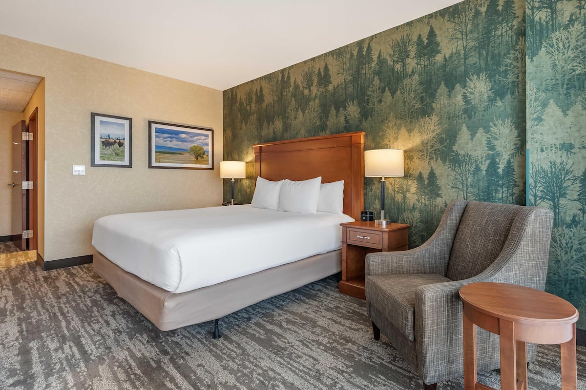 Chambre Deluxe, 1 trÚs grand lit, accessible aux personnes à mobilité réduite (Roll in Shower) | 1 chambre, bureau, espace de travail pour ordinateurs portables