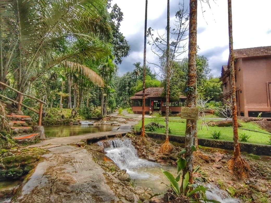 Um jardim tranquilo com uma pequena cascata, um caminho de pedra e um edifício tradicional com telhado de azulejos.