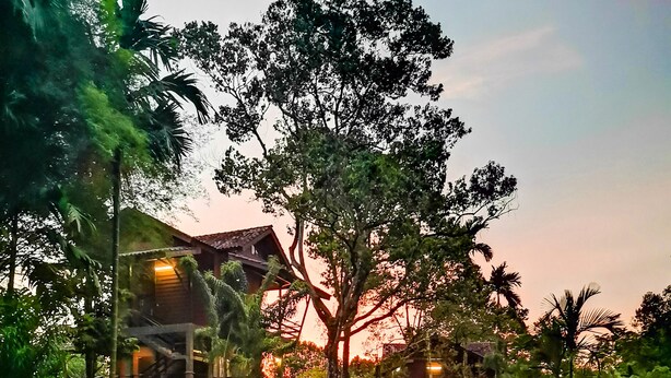 A rustic wooden house with a pond in front, surrounded by lush greenery and trees. - Sentosa Villa (Taiping)