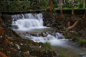 Una cascada en un área boscosa con rocas y musgo.