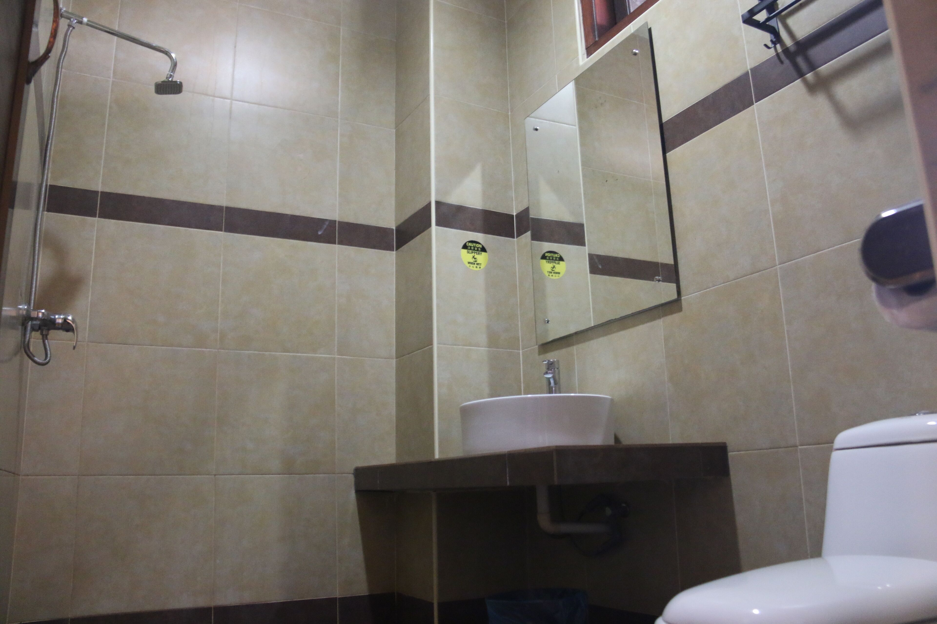 Een badkamer met een douche, wastafel, spiegel en toilet.
