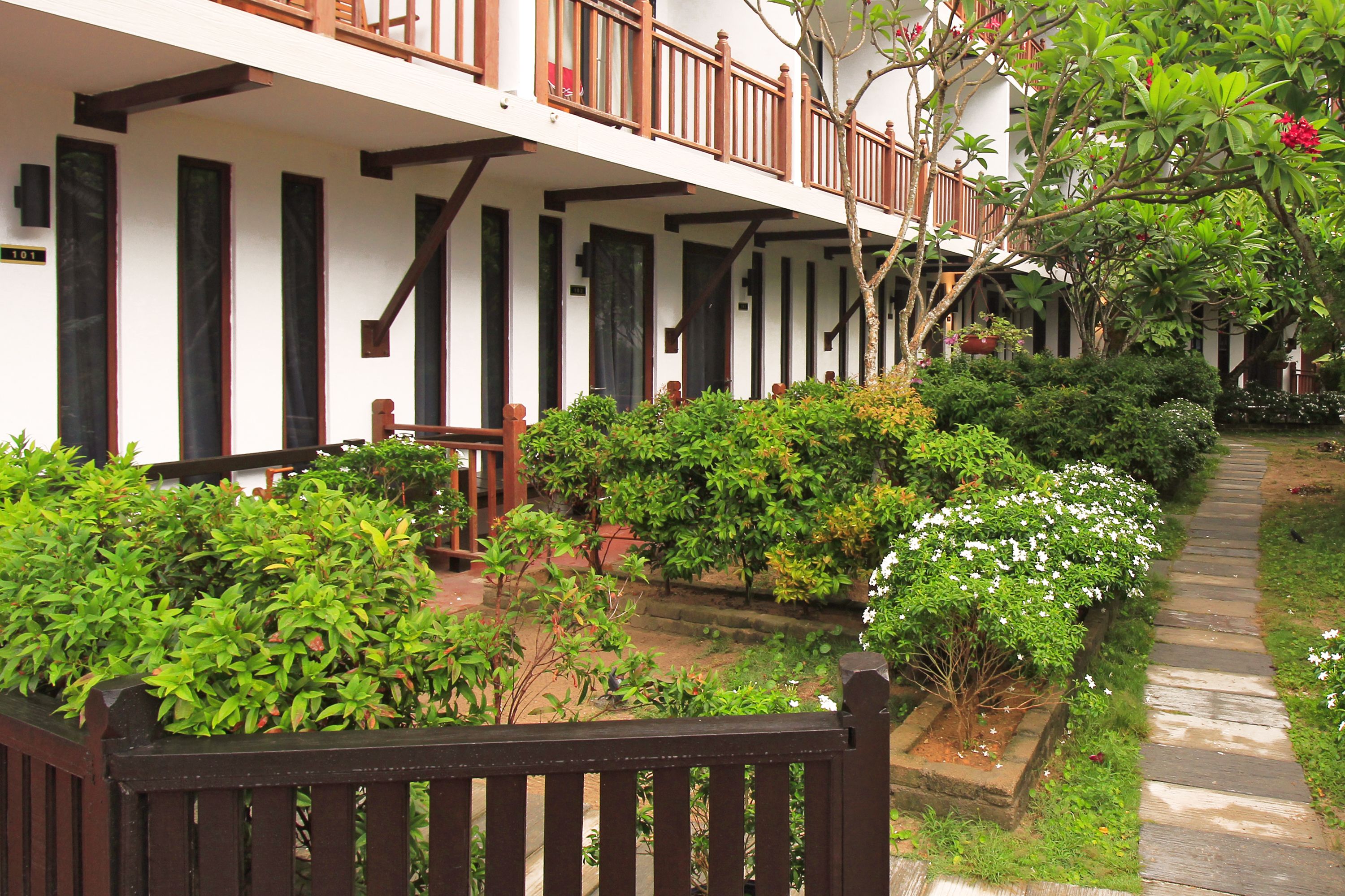 deluxe garden room | garden view