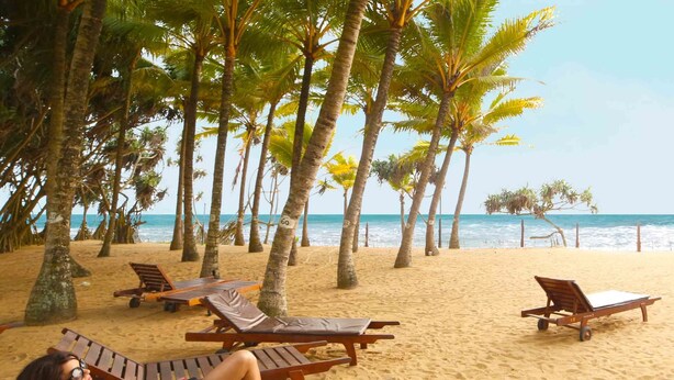 A beach with wooden lounge chairs and palm trees. - Siddhalepa Ayurveda Resort - All Meals, Ayurveda Treatment, Yoga (Wadduwa)