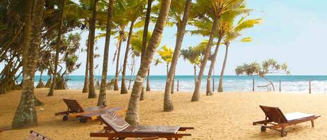 Ubicación a pie de playa, yoga en la playa y vóley playa