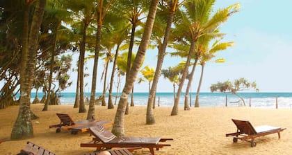 Siddhalepa Ayurveda Resort - All Meals, Ayurveda Treatment, Yoga