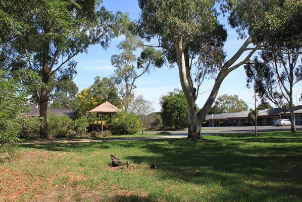 A park with trees, a gazebo, and a building in the background. - Melaleuca Lodge (Beaconsfield)