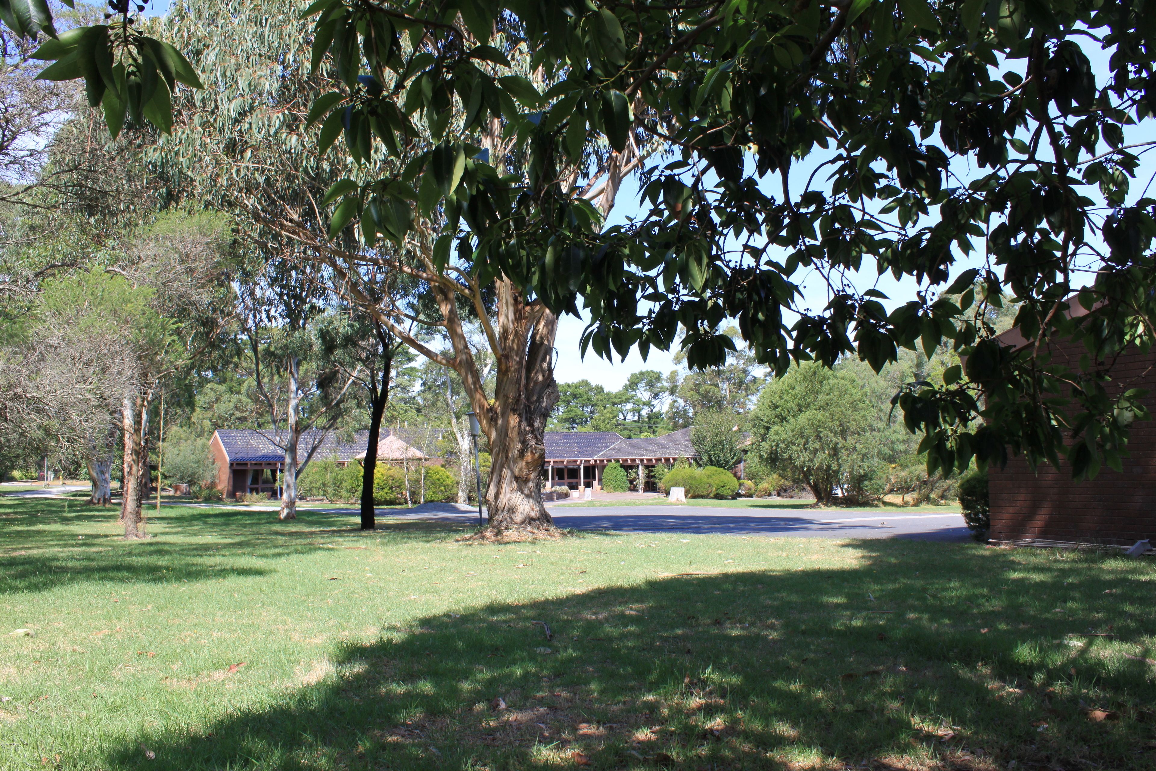 A residential area with a large tree, a house with a covered porch, and a well-maintained lawn.