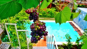 Indoor pool, seasonal outdoor pool, free pool cabanas, pool umbrellas - Hy Resort (Chonburi)