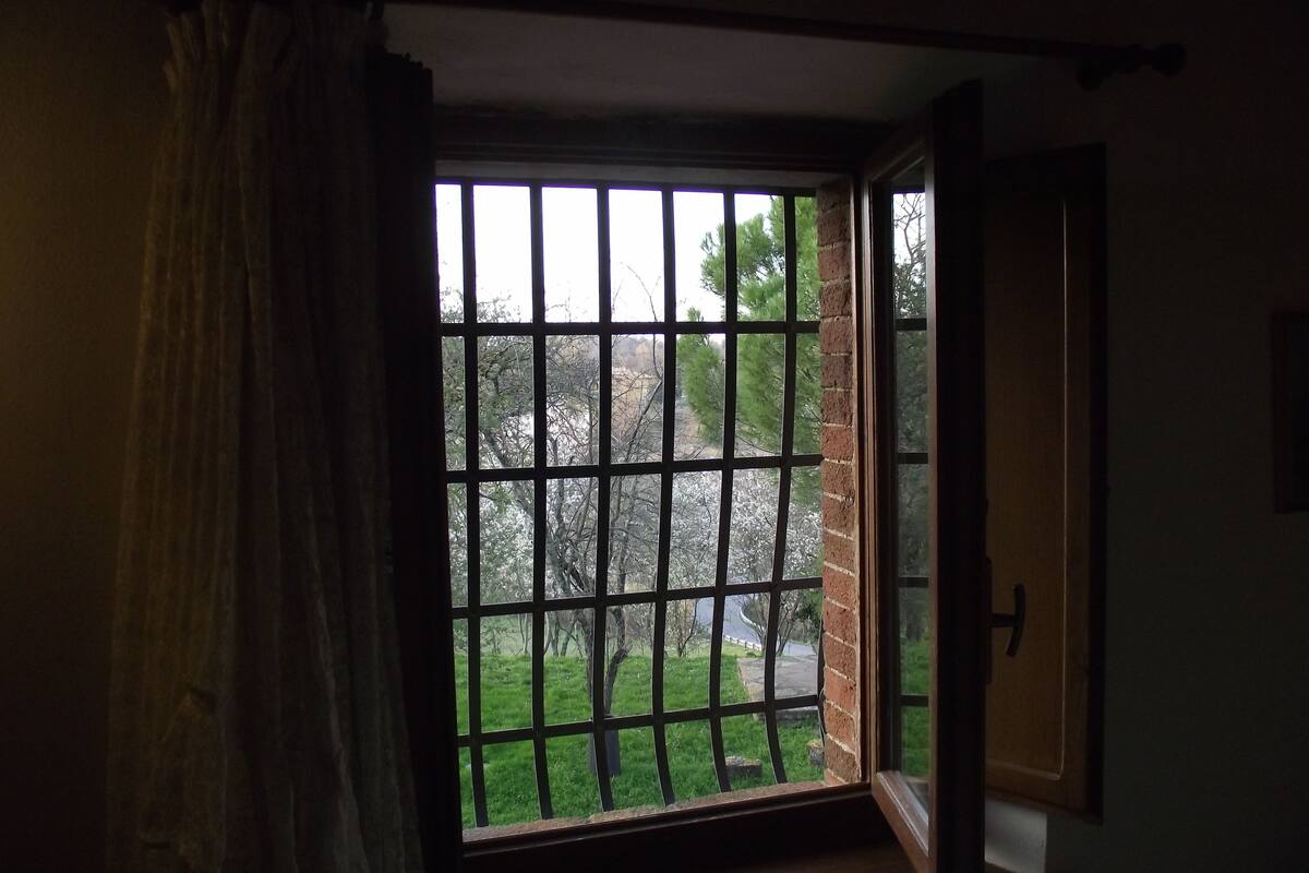 double room | view from room