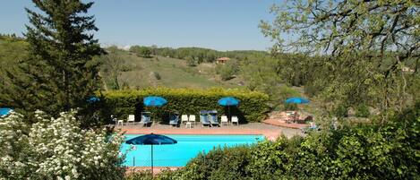A pool area with lounge chairs and umbrellas, surrounded by greenery and trees.