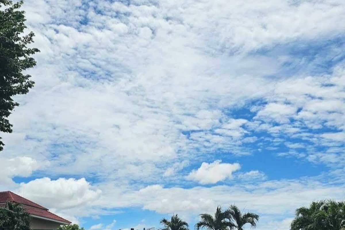 高級客房 | 浴室 | 免費盥洗用品、毛巾