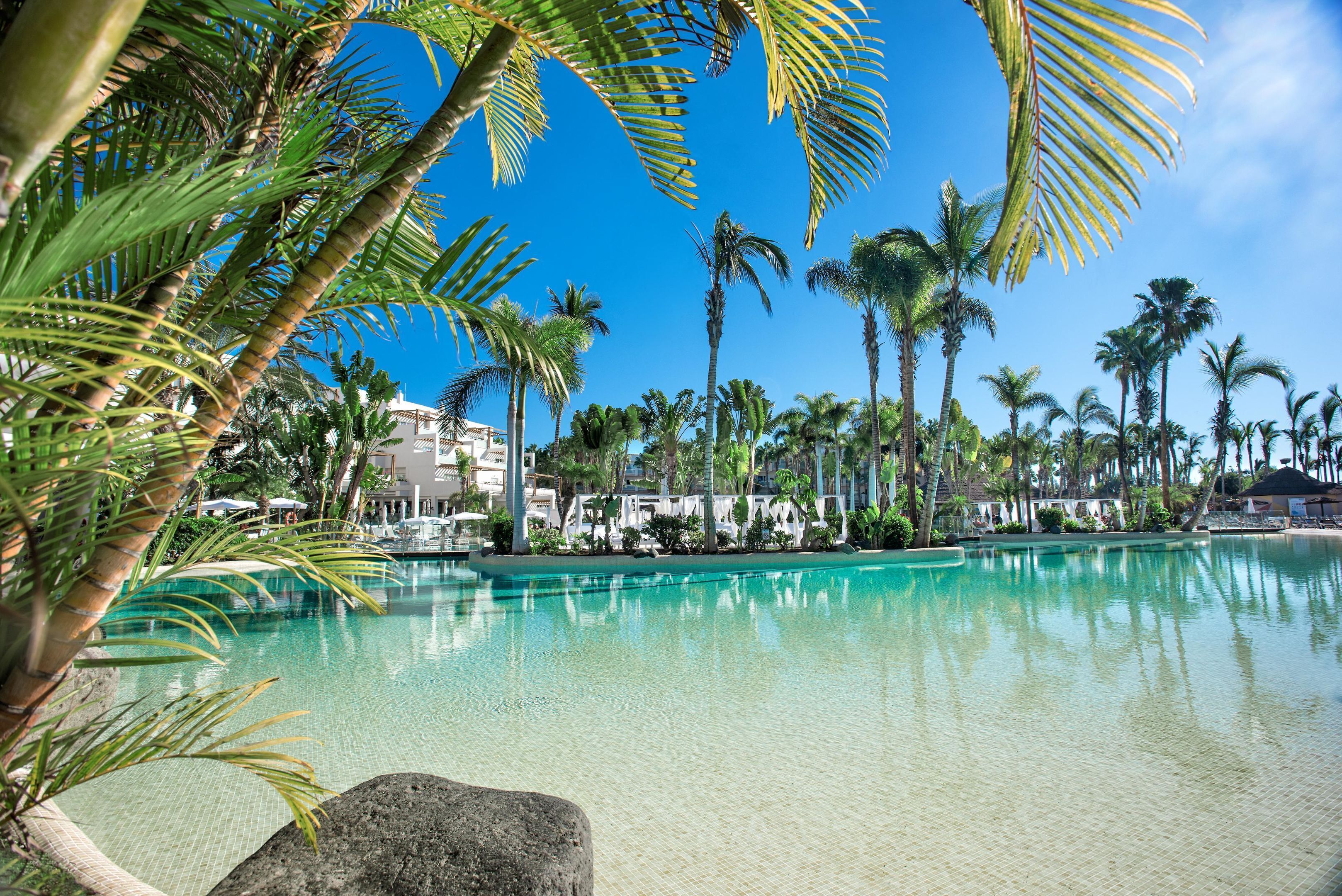 A clear pool surrounded by palm trees and a building with a white facade.