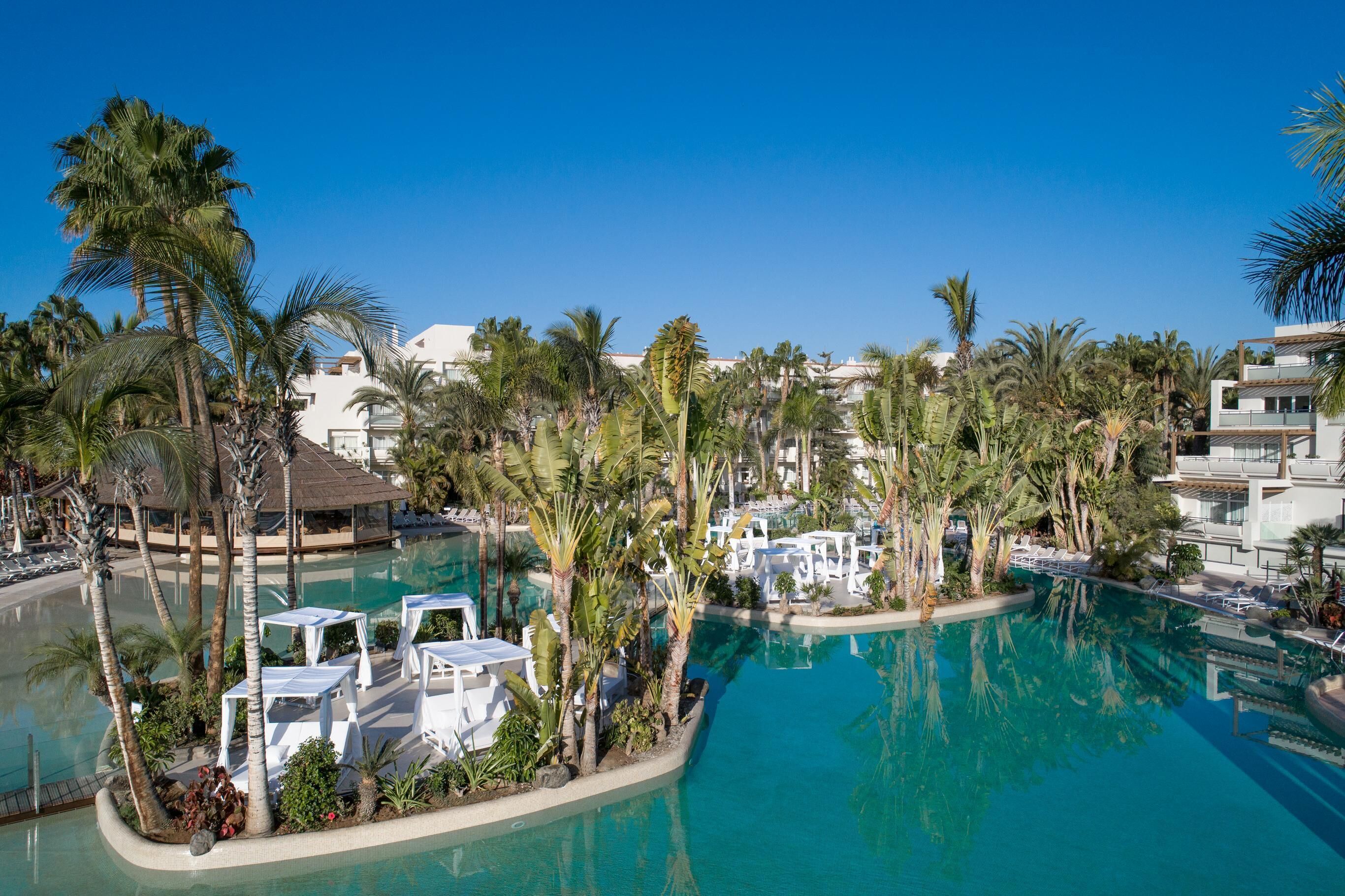 A resort pool area with multiple pools, palm trees, and white lounge chairs.