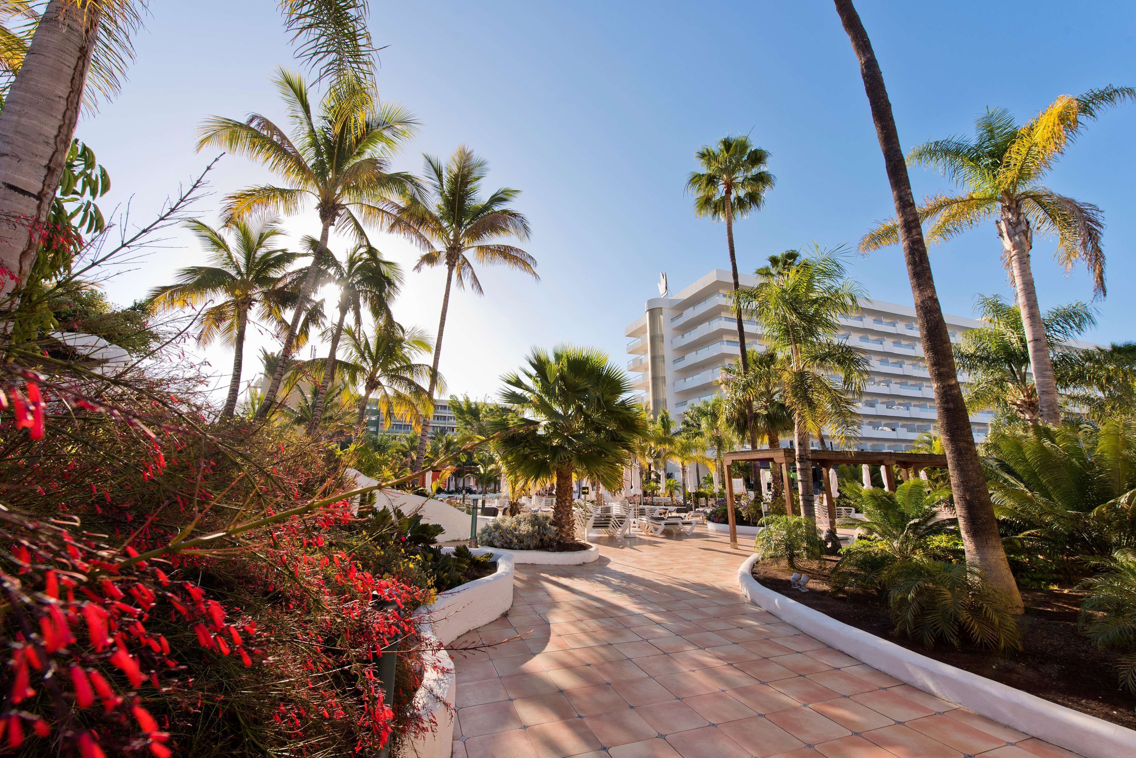 Un patio de resort con palmeras, una piscina y un edificio de varios pisos.