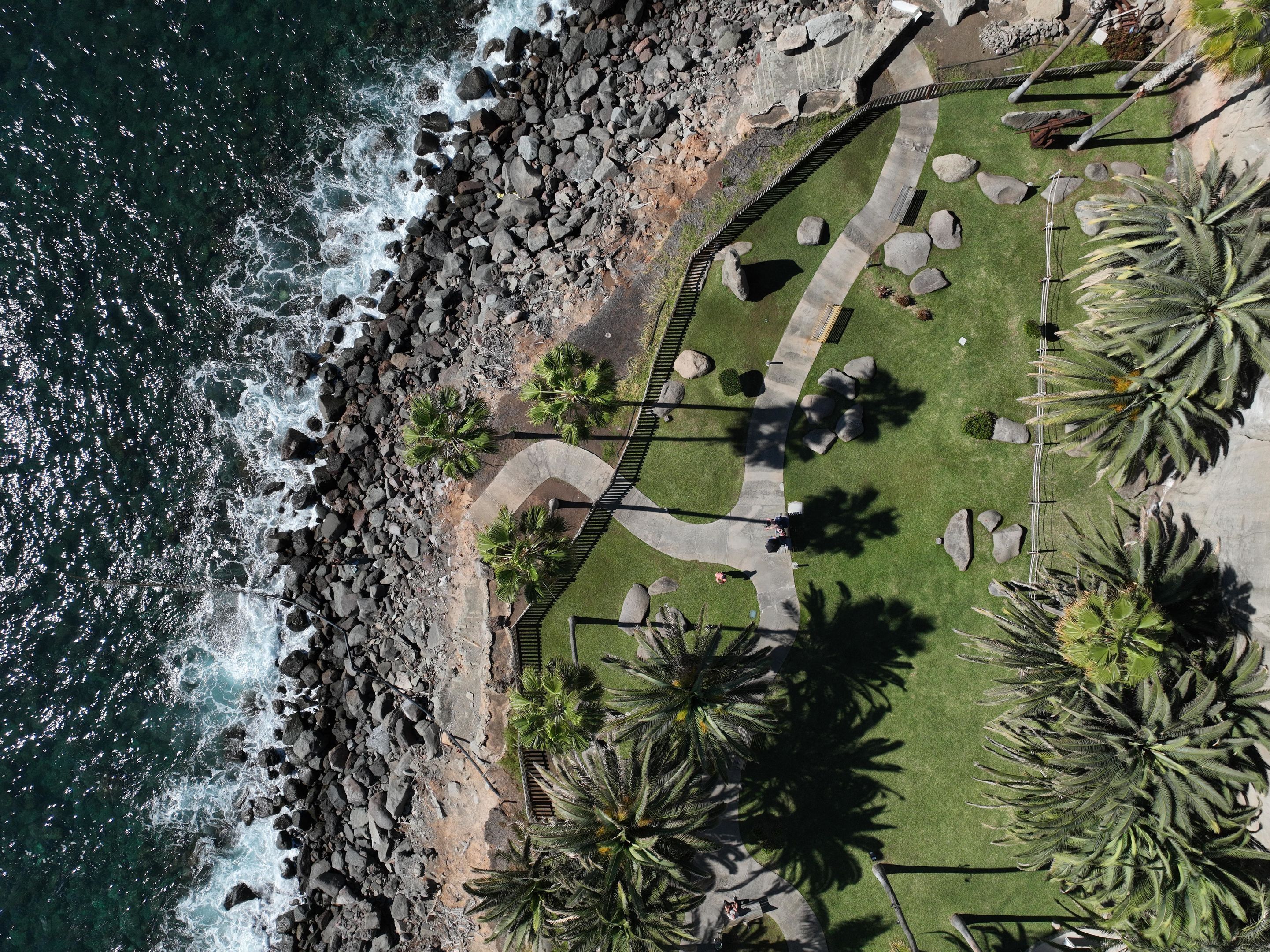 A coastal walkway with palm trees, a rocky shoreline, and a clear view of the ocean waves.
