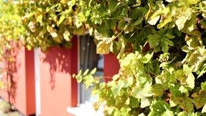 A red building with a vine-covered wall. - Apartment-Vermietung Brunner (Rostock)