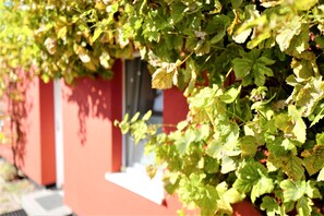 Exterior - Apartment-Vermietung Brunner (Rostock)