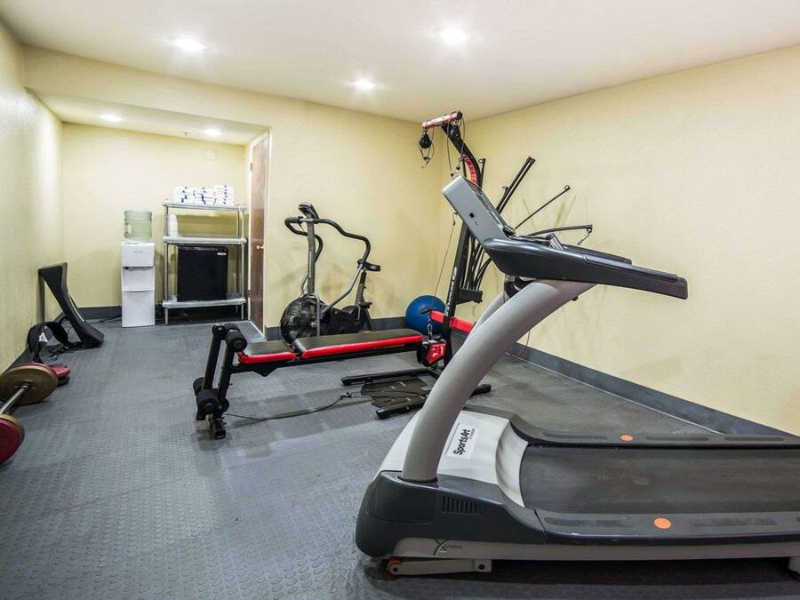 A gym with a treadmill, elliptical, and weight bench.