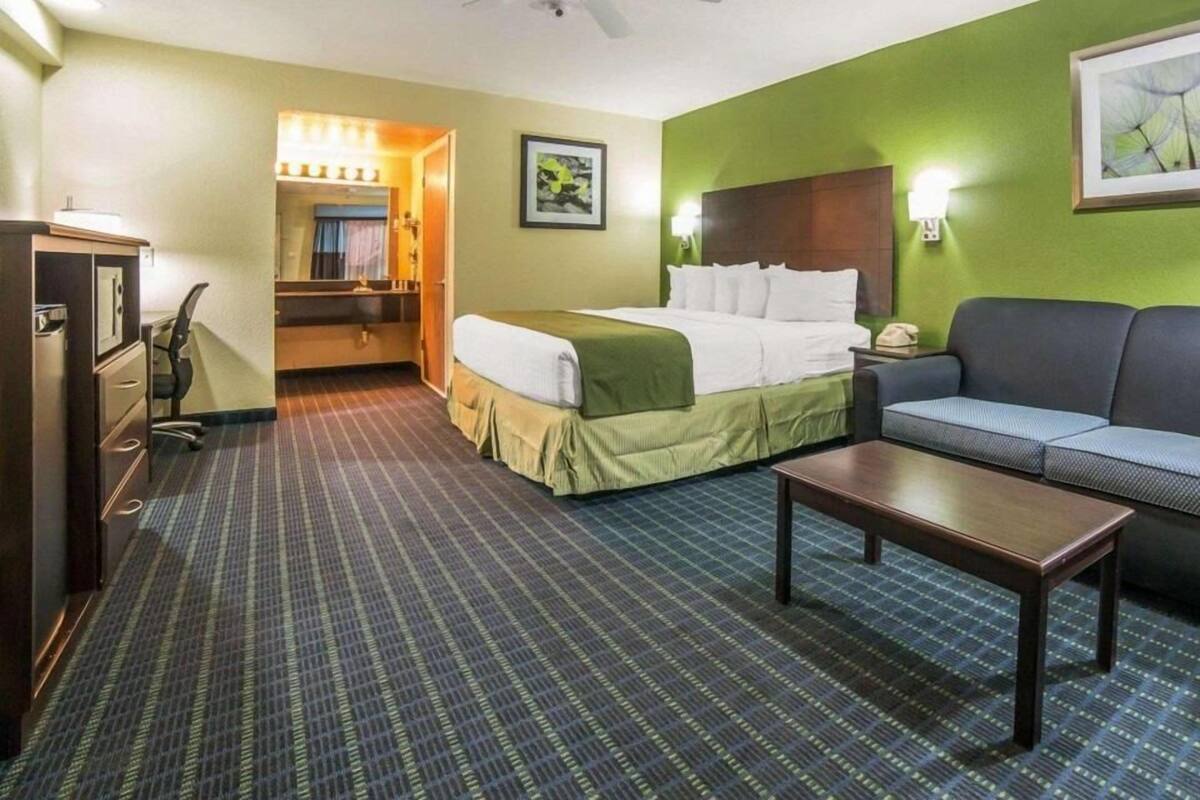 Quarto de hotel com cama, escrivaninha, cadeira, sofá, mesa de centro e ventoinha no teto.