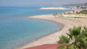 Une plage à l’eau d’un bleu limpide, avec une côte sinueuse et quelques palmiers.
