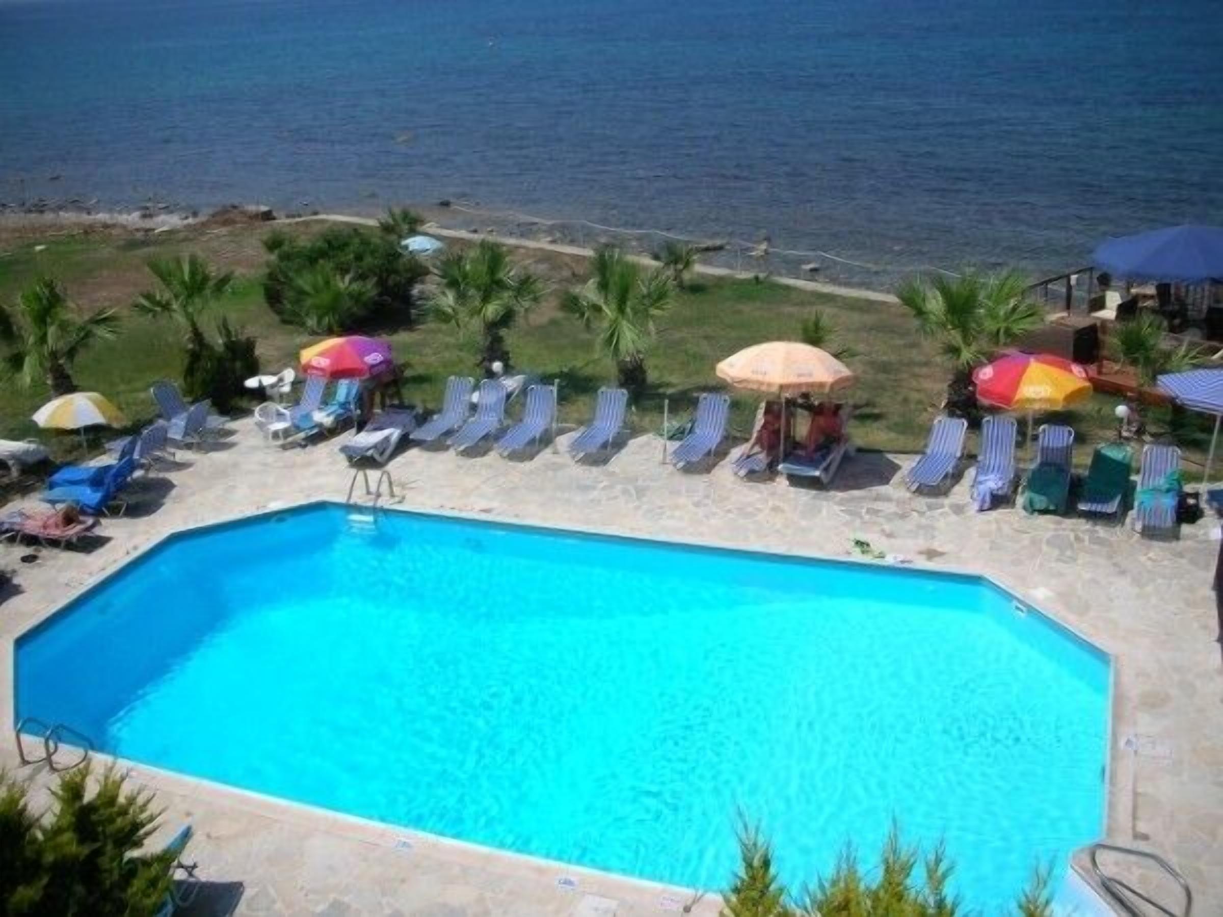Una piscina rectangular con sillas de descanso y sombrillas a lo largo del borde, vista despejada del océano y un área verde con palmeras.