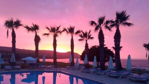 Un espace aménagé au bord de la piscine, avec des chaises longues et des parasols, des palmiers, et un coucher de soleil sur l’eau.
