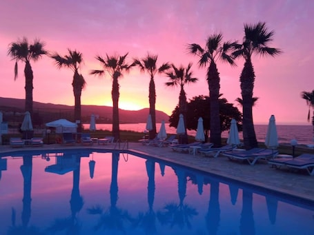 Seasonal outdoor pool, pool umbrellas, sun loungers
