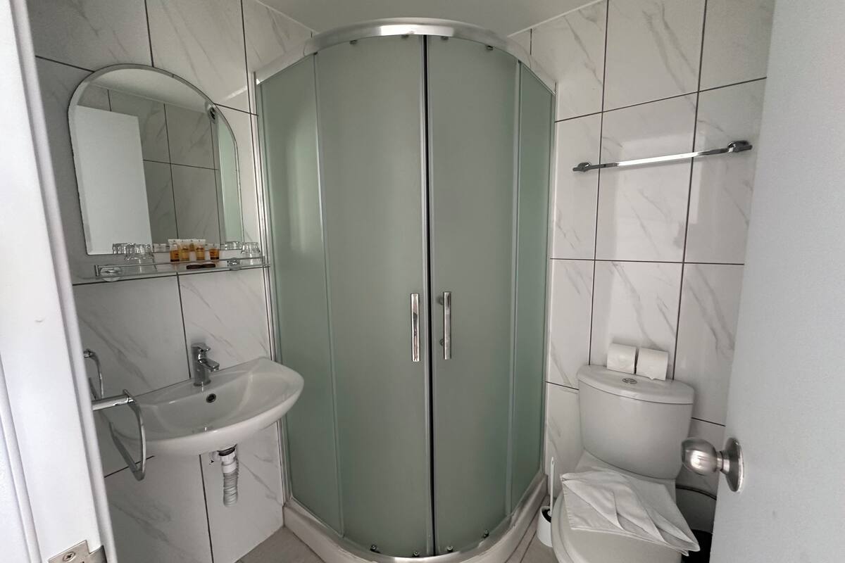 combined shower/bathtub, free toiletries, towels