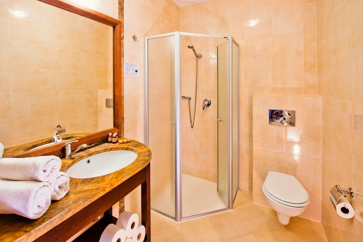 shower, free toiletries, hair dryer, towels