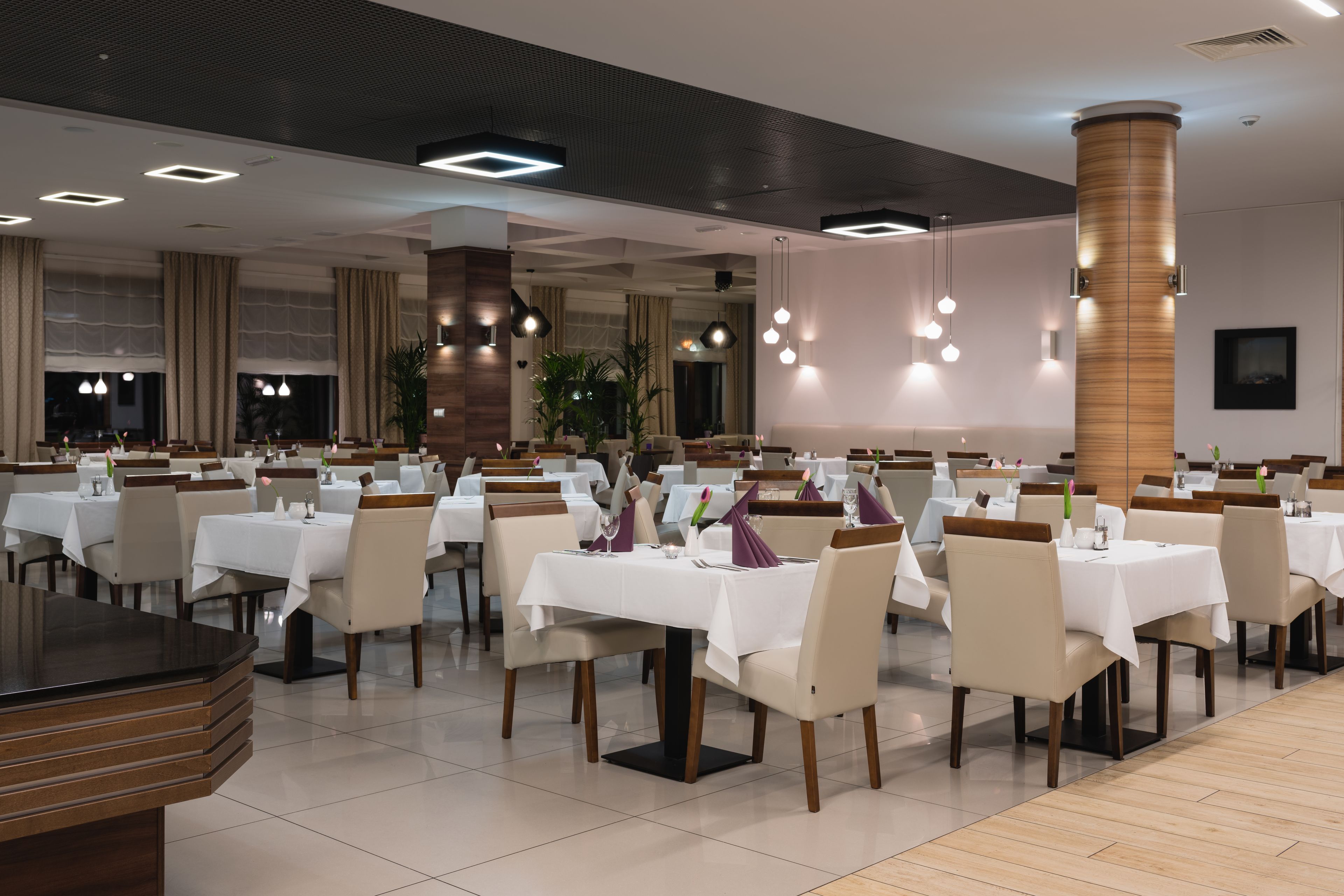 international cuisine