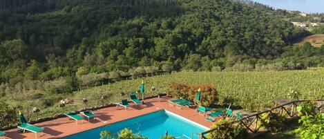 Outdoor pool, pool umbrellas, sun loungers