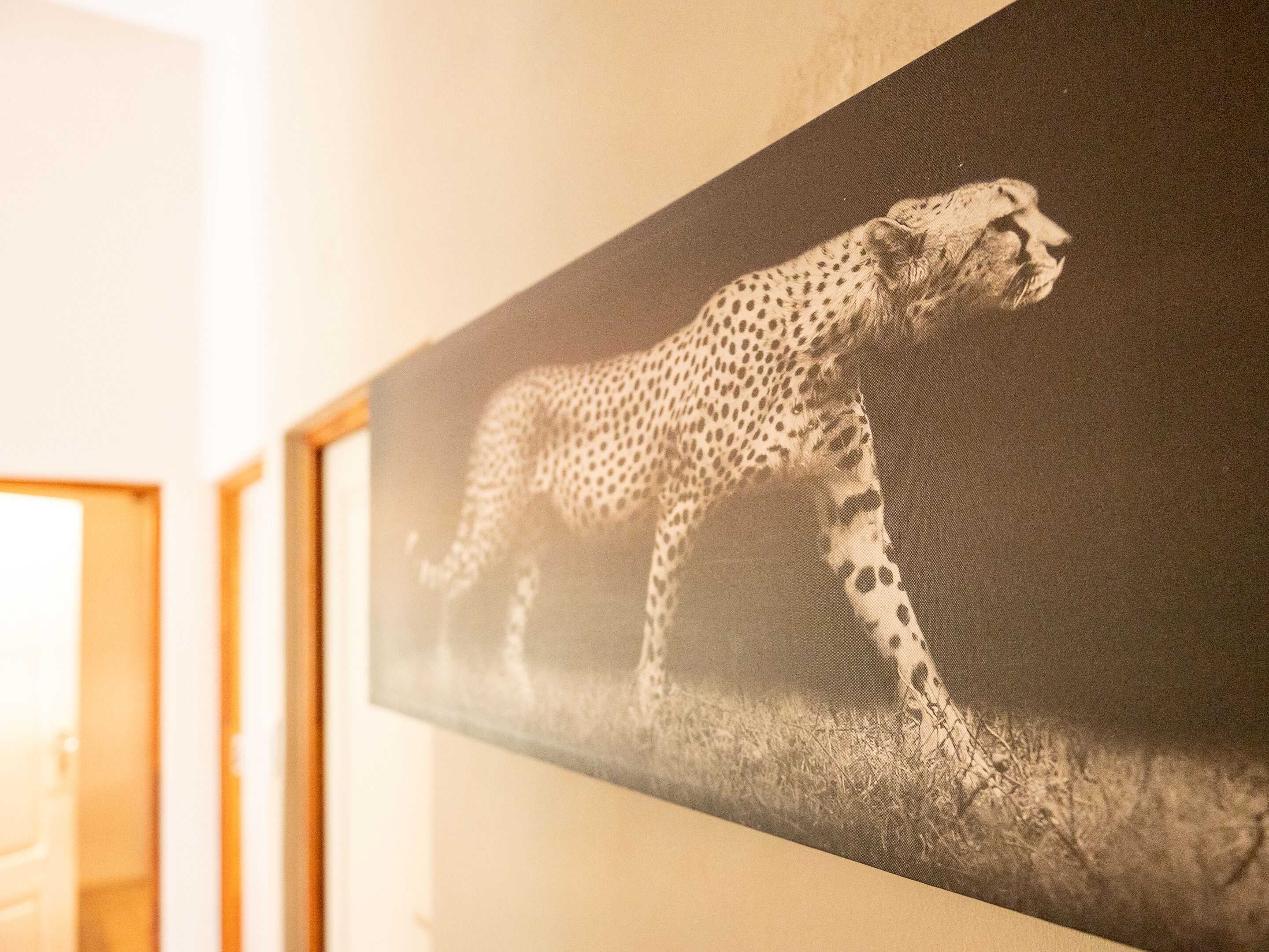 A framed artwork of a cheetah on a wall.