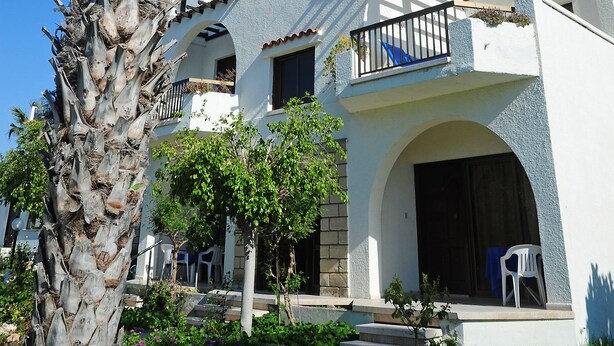A white building with a balcony and a palm tree in the foreground. - Follow The Sun (Polis)