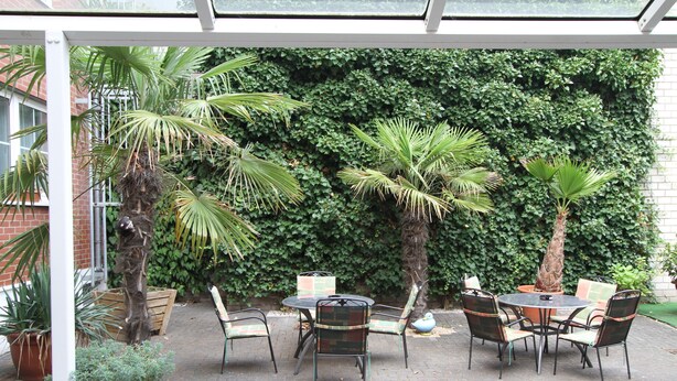 Courtyard - Hotel Mado (Cologne)