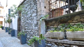 A narrow cobblestone street lined with stone buildings, potted plants, and a stone wall. - Caffè dell'Arte Boutique Rooms Locarno (Locarno)