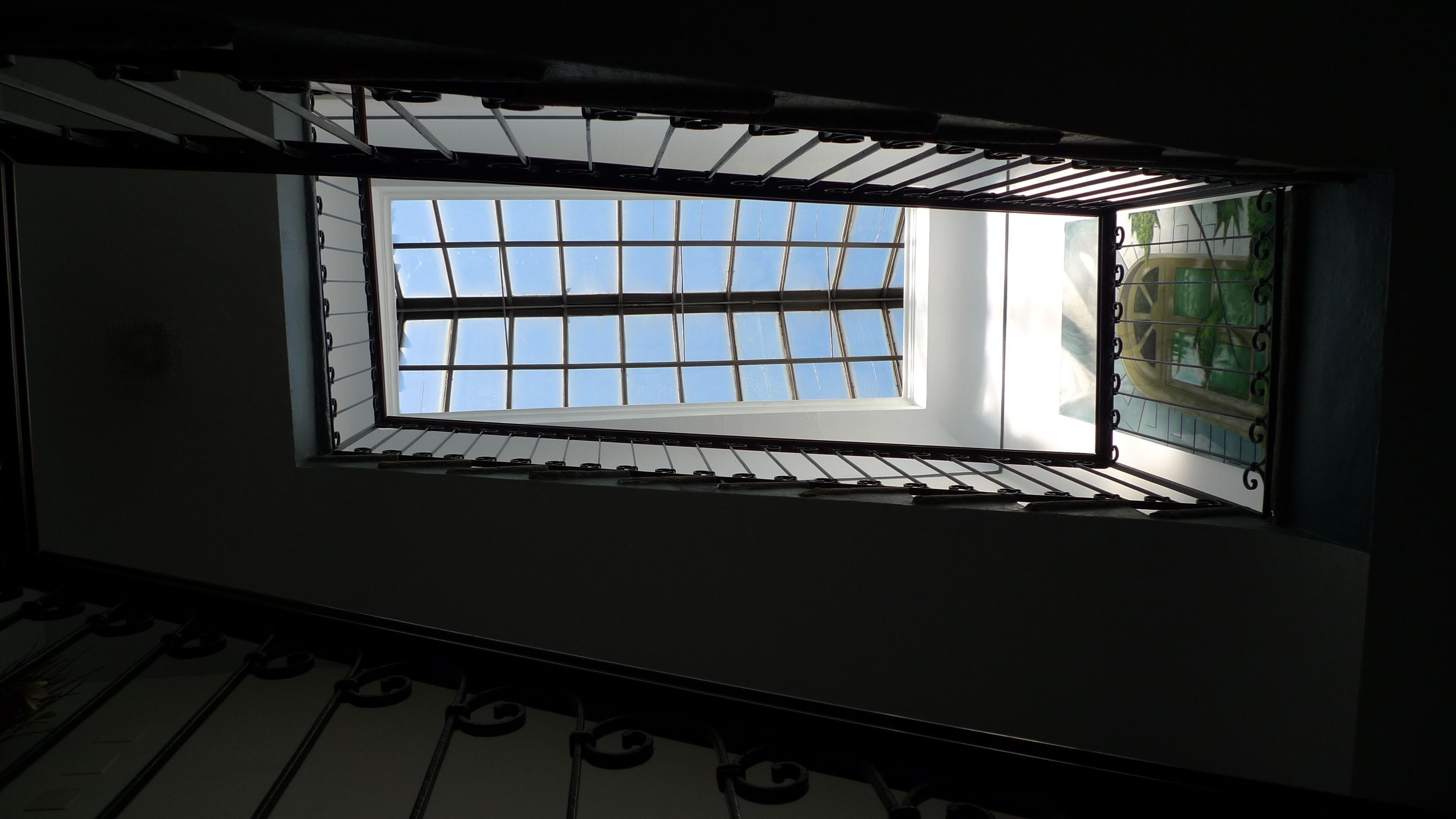 A skylight with a grid pattern, a staircase with metal balusters, and a glimpse of a green outdoor area.
